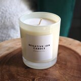 NEGATIVE ION CANDLE - LEMONGRASS and LIME by Lee Holmes, Supercharged Food